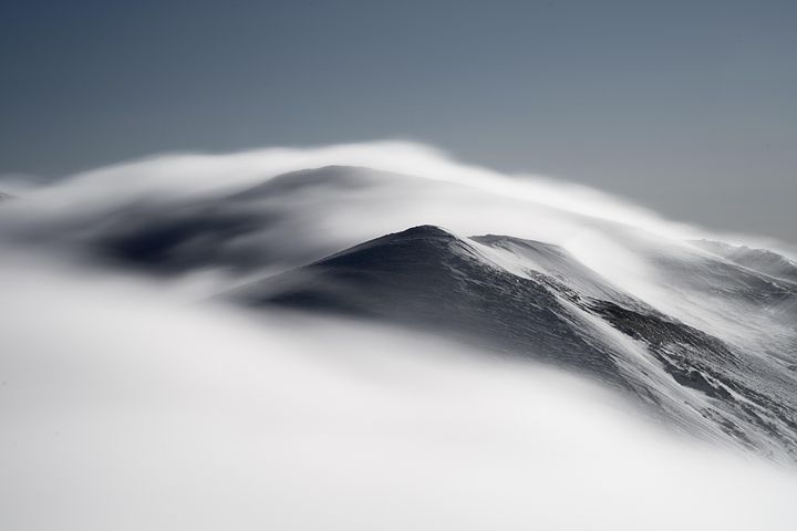 土狼的四个灵魂 蓝光高清MKV版/Four Souls of Coyote 2023 Kojot négy lelke 11.06G